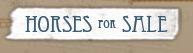 Horses for Sale