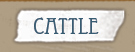 Cattle